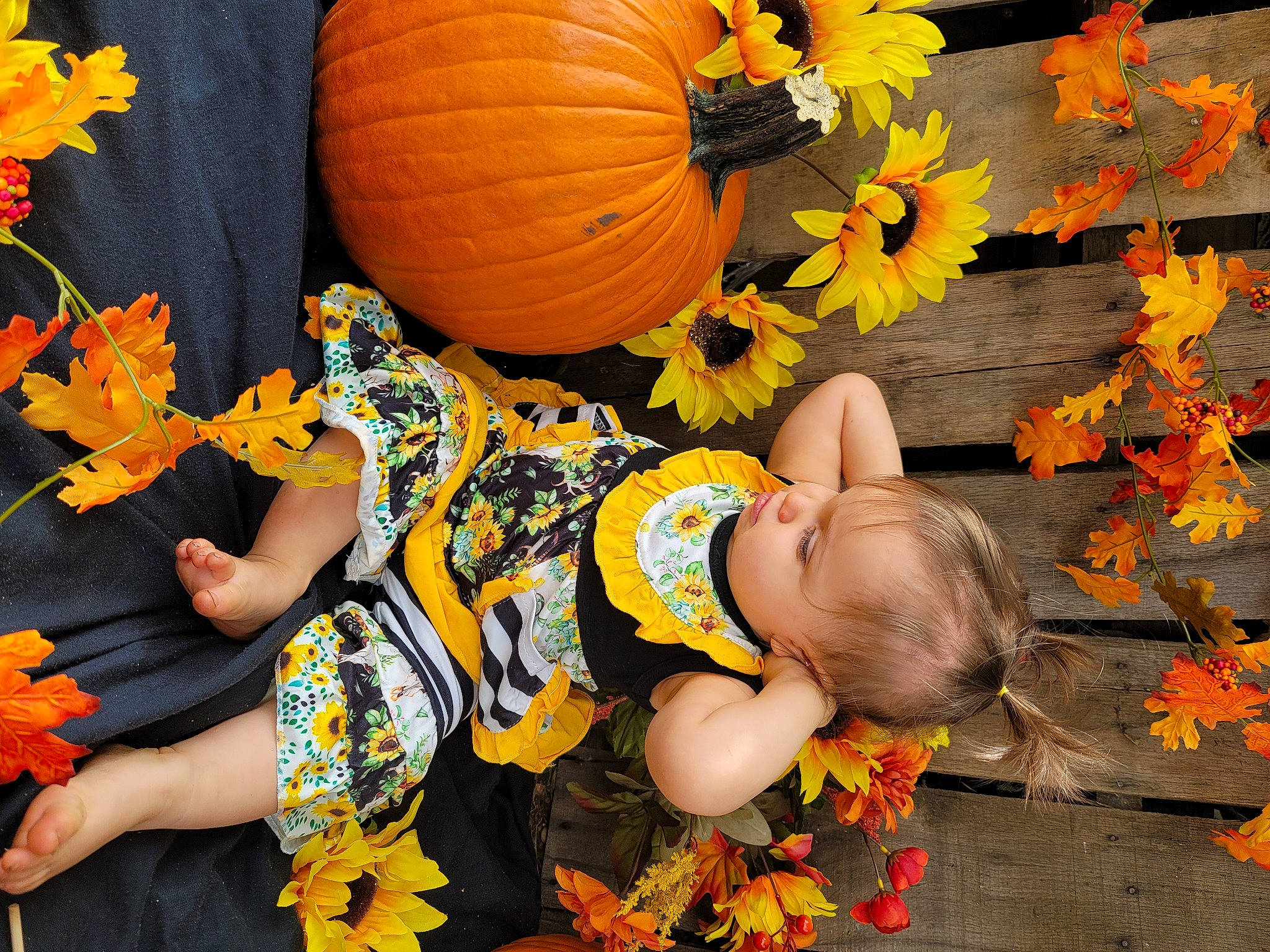 Hattie joined the competition — help win amazing prizes! _and_melon_family, _gourd, amber, autumn, calabaza, cucumber, cucurbita, deciduous, gourd, leaf, natural_foods, orange, peach, person, produce, pumpkin, squash, toy, vegan_nutrition, vegetable