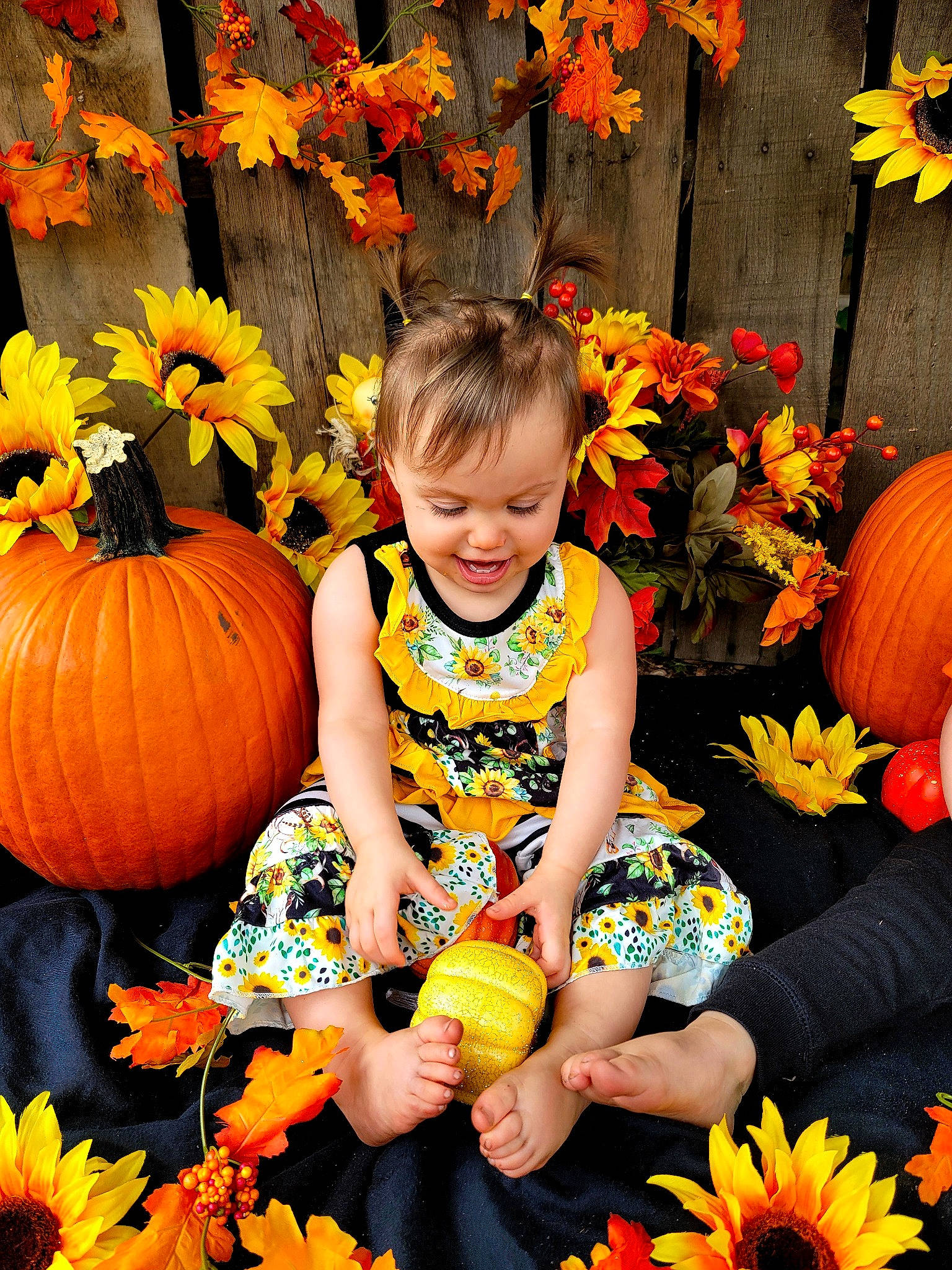 Hattie joined the competition — help win amazing prizes! _and_melon_family, _gourd, baby_toddler_clothing, calabaza, cucumber, cucurbita, gourd, leaf, local_food, natural_foods, orange, people_in_nature, person, petal, produce, pumpkin, squash, sunflower, toddler, vegetable