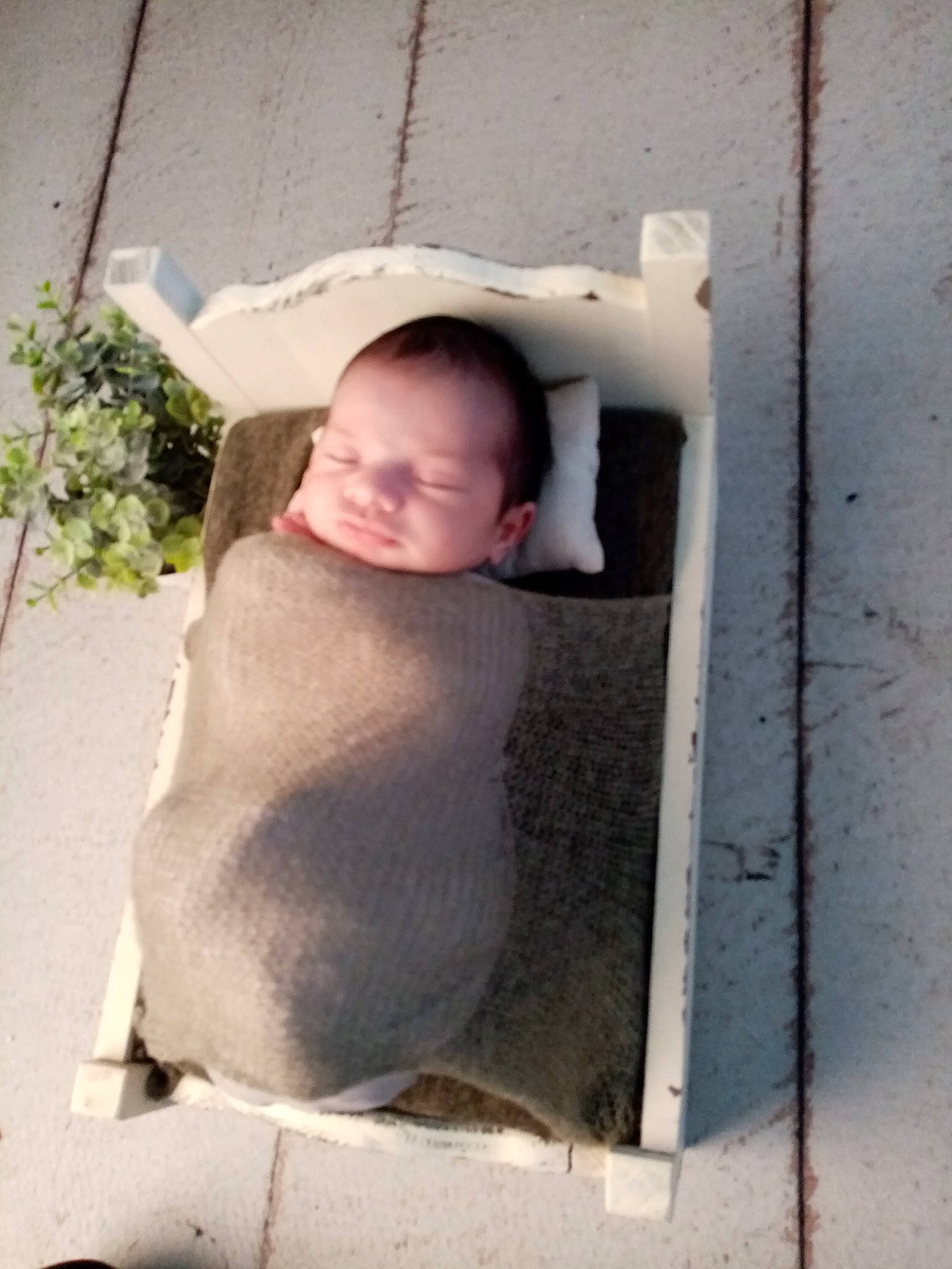 Maxime a rejoint le concours — aidez-le/la à gagner de superbes lots ! baby, baby_products, baby_toddler_clothing, child, comfort, concrete, foot, fun, grass, hairstyle, happy, person, plant, room, sitting, t_shirt, toddler, vacation