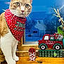 cat, orange_cat, white_paws, bandana, red_bandana, polka_dots, holiday, christmas_decor, wooden_sill, window, snow, gift_box, decorative_truck, indoor, pets, animal, festive, cute, curious, holiday_season