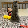 cat, gray_cat, plush_toy, mickey_mouse, bed, bedspread, patterned_bedspread, wooden_headboard, toy, orange_toy, indoor, pet, animal, feline, curious, alert, wide_eyes, cozy_room, framed_picture, standing_cat