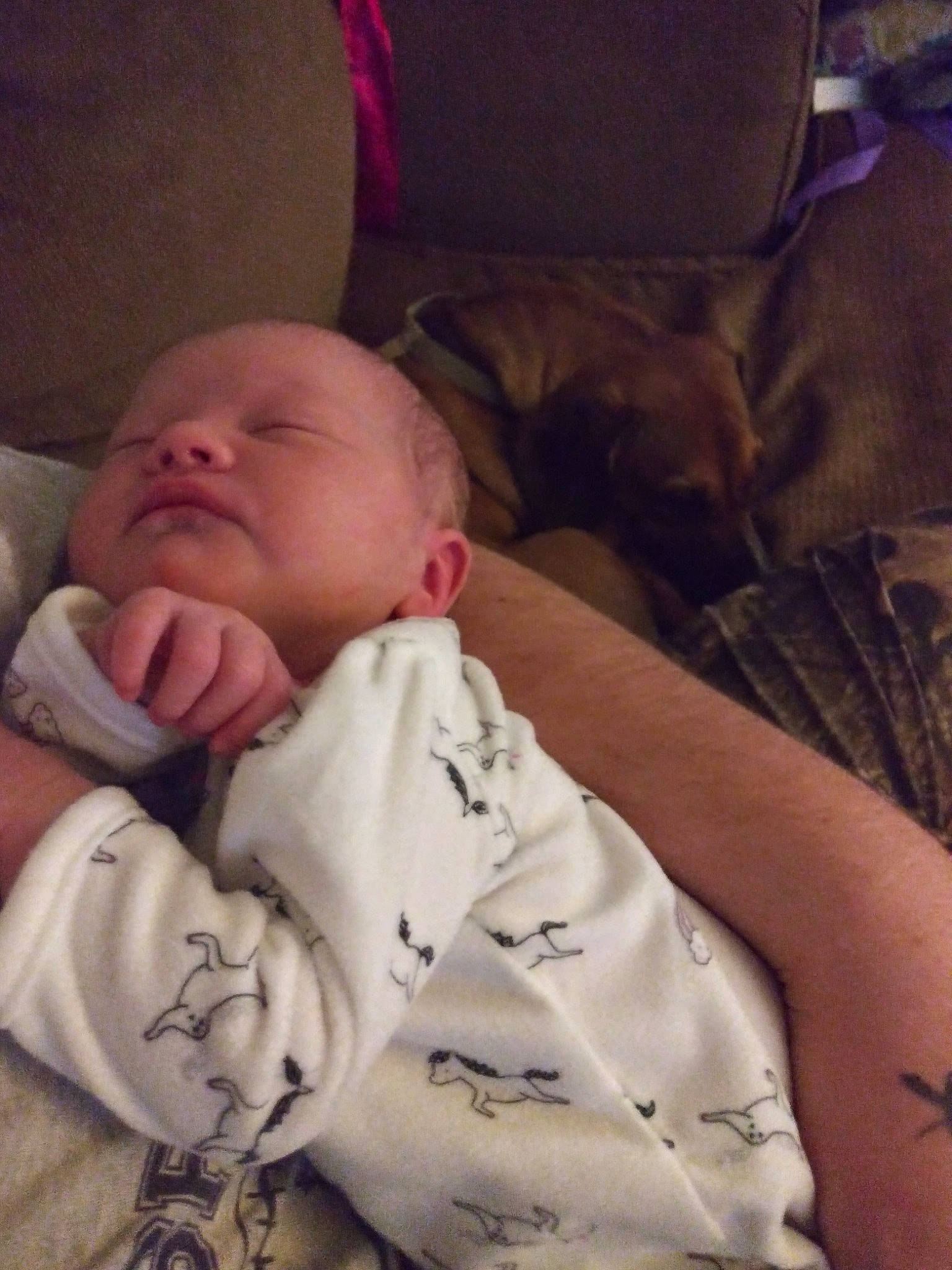 Kingsley is registered to the contest to win money with this photo: baby, bedtime, birth, cheek, child, mouth, nap, nose, person, skin, sleep, smile, toddler