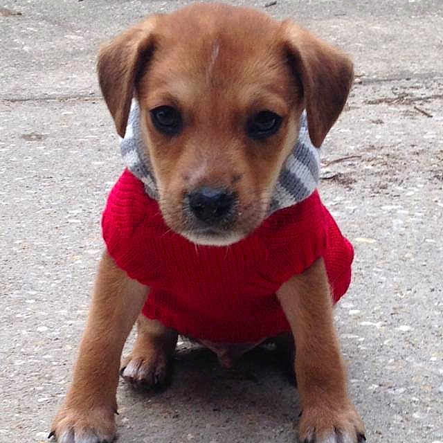 Colton is registered to the contest to win money with this photo: