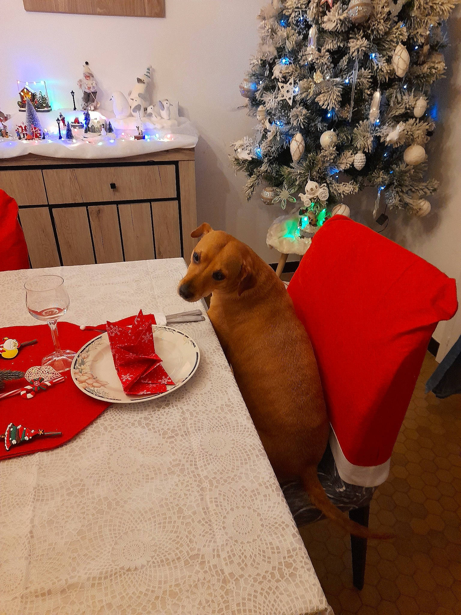 Looping Et Leezie a rejoint le concours — aidez-le/la à gagner de superbes lots ! cabinetry, chair, christmas, christmas_decoration, christmas_eve, christmas_ornament, christmas_stocking, christmas_tree, event, fawn, flooring, furniture, holiday, interior_design, linens, living_room, ornament, room, table, wood