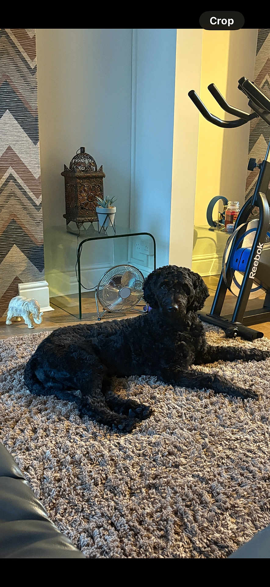 Max