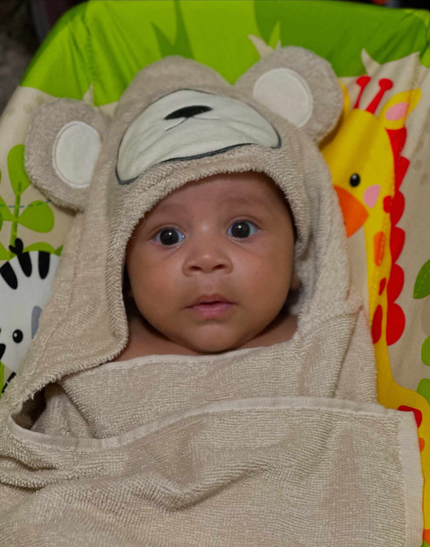 Jaden is registered to the contest to win money with this photo: baby, child, towel, hood, bear, animal_print, cushion, colorful, face, eyes, cute, infant, wrapped, curious, expression, indoors, soft, texture, portrait, young