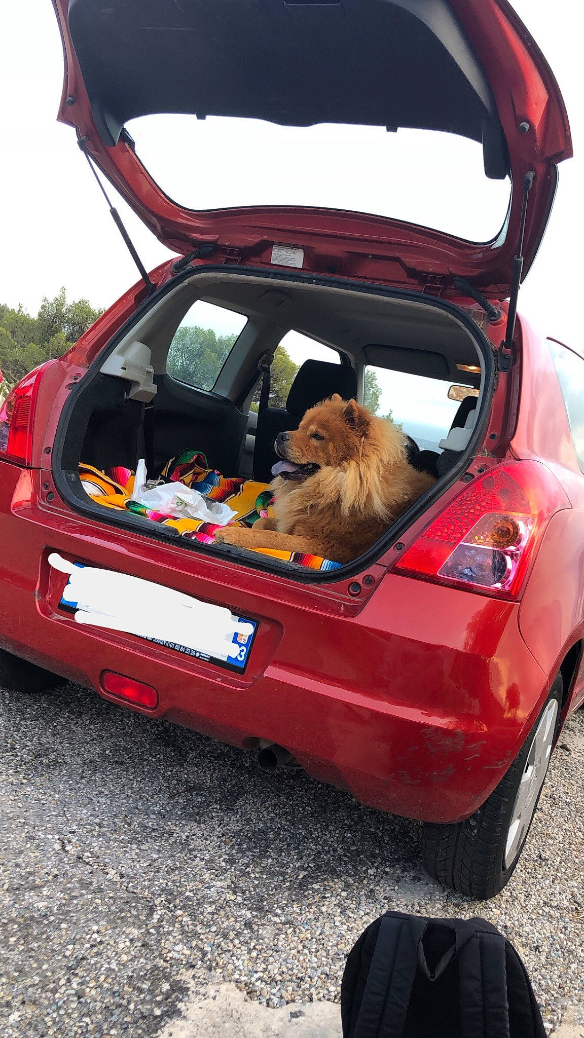 Attila participe au concours pour gagner de l'argent avec cette photo : automotive_design, automotive_exterior, car, city_car, compact_car, hatchback, hot_hatch, land_vehicle, mid_size_car, motor_vehicle, subcompact_car, suzuki, suzuki_swift, trunk, vehicle, vehicle_door