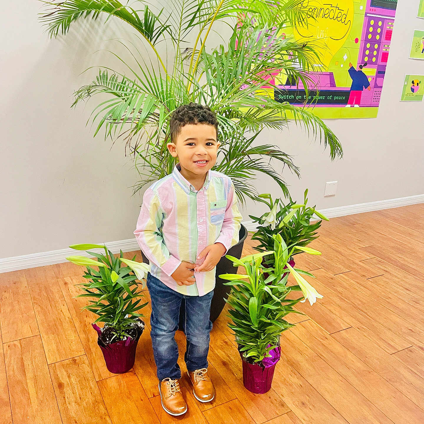 Lucca joined the competition — help win amazing prizes! boy, child, clothing, face, footwear, hardwood, head, indoors, interiordesign, jeans, male, pants, person, photography, plant, portrait, pottedplant, shoe, sitting, wood