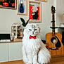 Mango joined the competition — help win amazing prizes! cat, white_cat, blue_eyes, bow_tie, fluffy, table, indoor, guitar, framed_art, plant, wooden_surface, pet, furniture, portrait, domestic_animal, cute, sitting, decor, living_room, animal