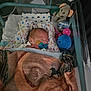 Rohan is registered to the contest to win money with this photo: newborn, baby, hospital_crib, blanket, pacifier, knitted_toy, elephant_toy, sleeping, medical_tube, dinosaur_pattern, infant, bed, resting, child, soft_toys, comfort, cute, indoors, person, cozy