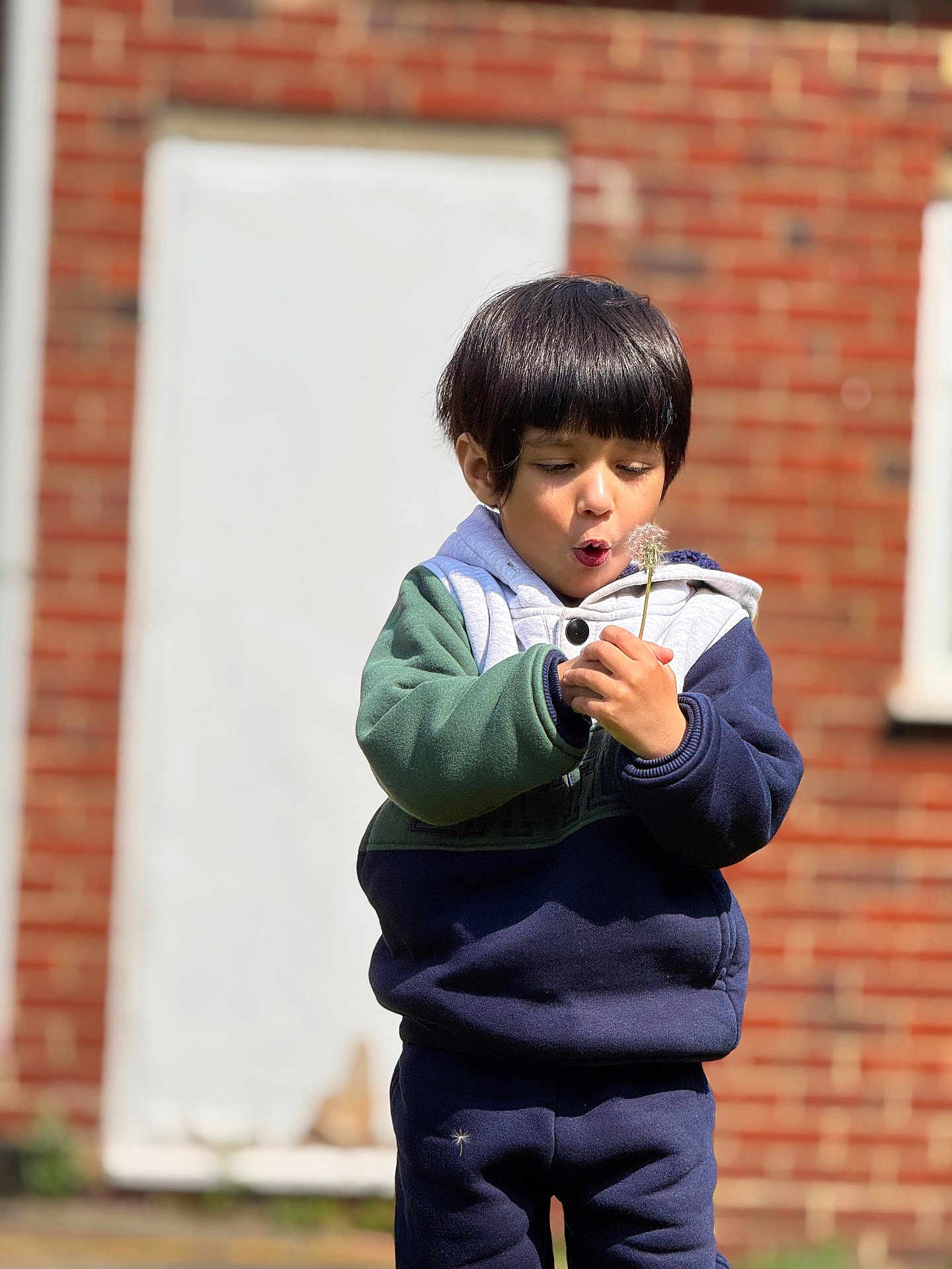 Hoorain Kaisar is registered to the contest to win money with this photo: child, boy, dandelion, flower, outdoor, brick_wall, hoodie, curious, nature, blowing, seed, casual_clothing, daylight, young, expression, playful, plant, person, standing, puff