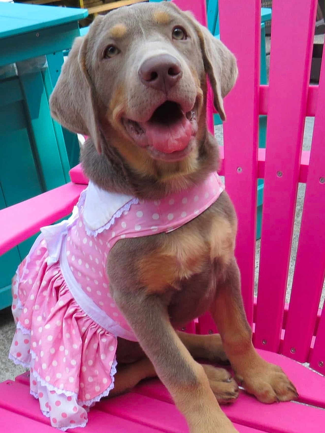 Minnie