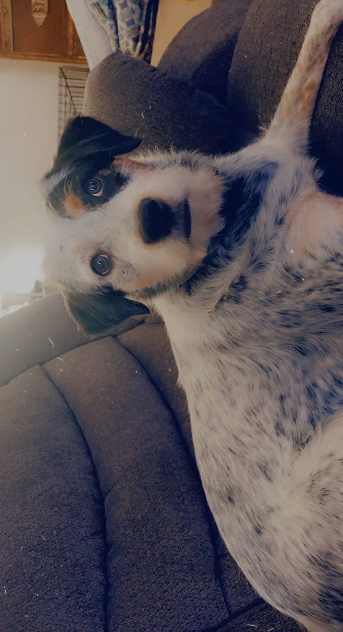 Matilda Marie Aka Mattie