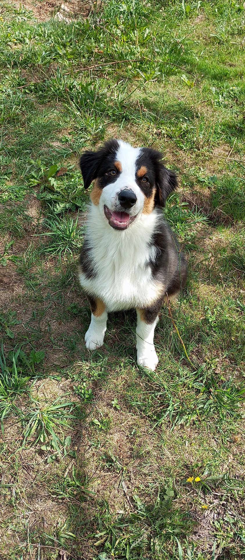 Atlas