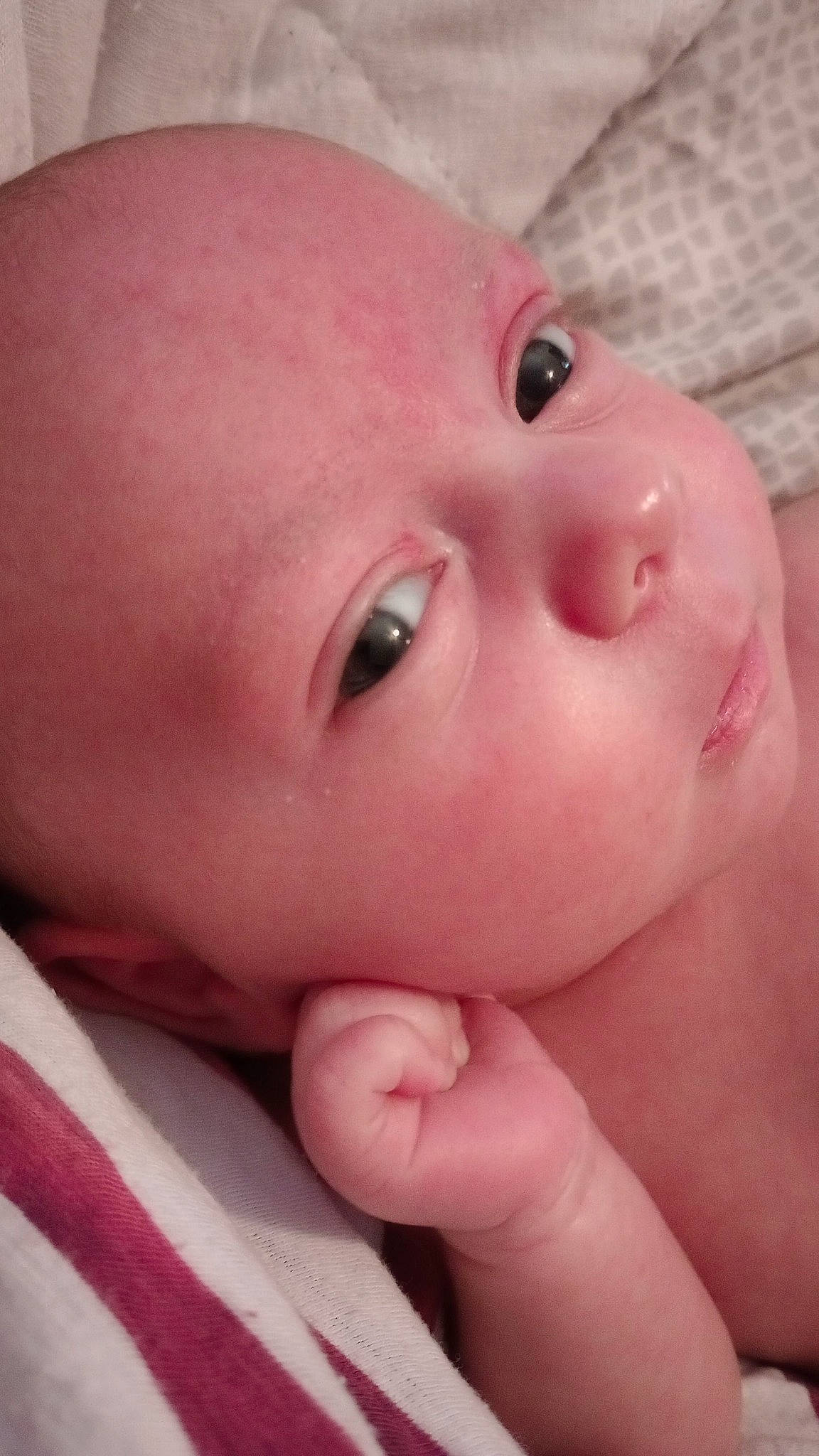 Thyestes joined the competition — help win amazing prizes! baby, cheek, child, eye, eyebrow, eyelash, face, finger, gesture, head, iris, lip, mouth, nail, neck, nose, person, pink, skin, thumb