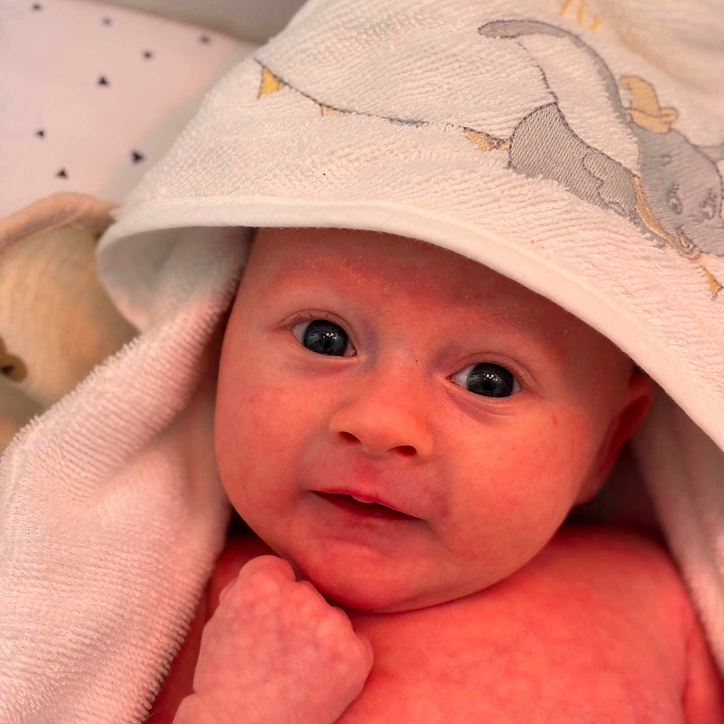 Aloïs participe au concours pour gagner de l'argent avec cette photo : baby, child, closeup, cute, elephant, expression, eyes, face, fist, hand, hooded_towel, infant, newborn, person, pink, portrait, skin, soft, texture, towel