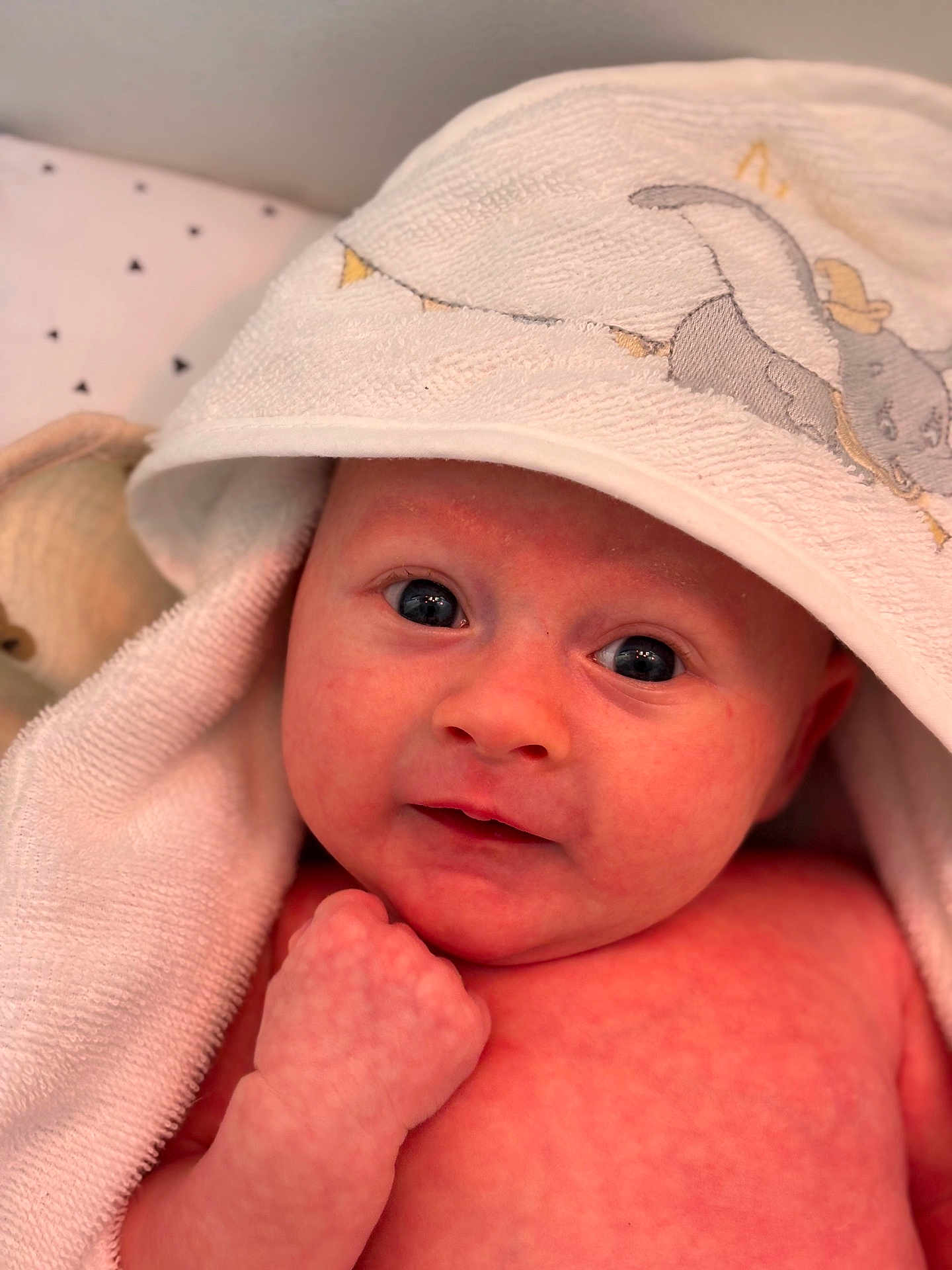Aloïs participe au concours pour gagner de l'argent avec cette photo : baby, infant, face, skin, towel, elephant, hooded_towel, hand, fist, closeup, cute, newborn, expression, eyes, portrait, soft, texture, pink, child, person