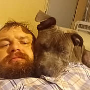 Bubba is registered to the contest to win money with this photo: animal, beard, brown_dog, casual, close_up, companion, cozy, dog, expression, face, friendship, human, indoor, man, pet, plaid_shirt, portrait, relaxed, snuggling, warm_lighting