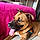 Jack