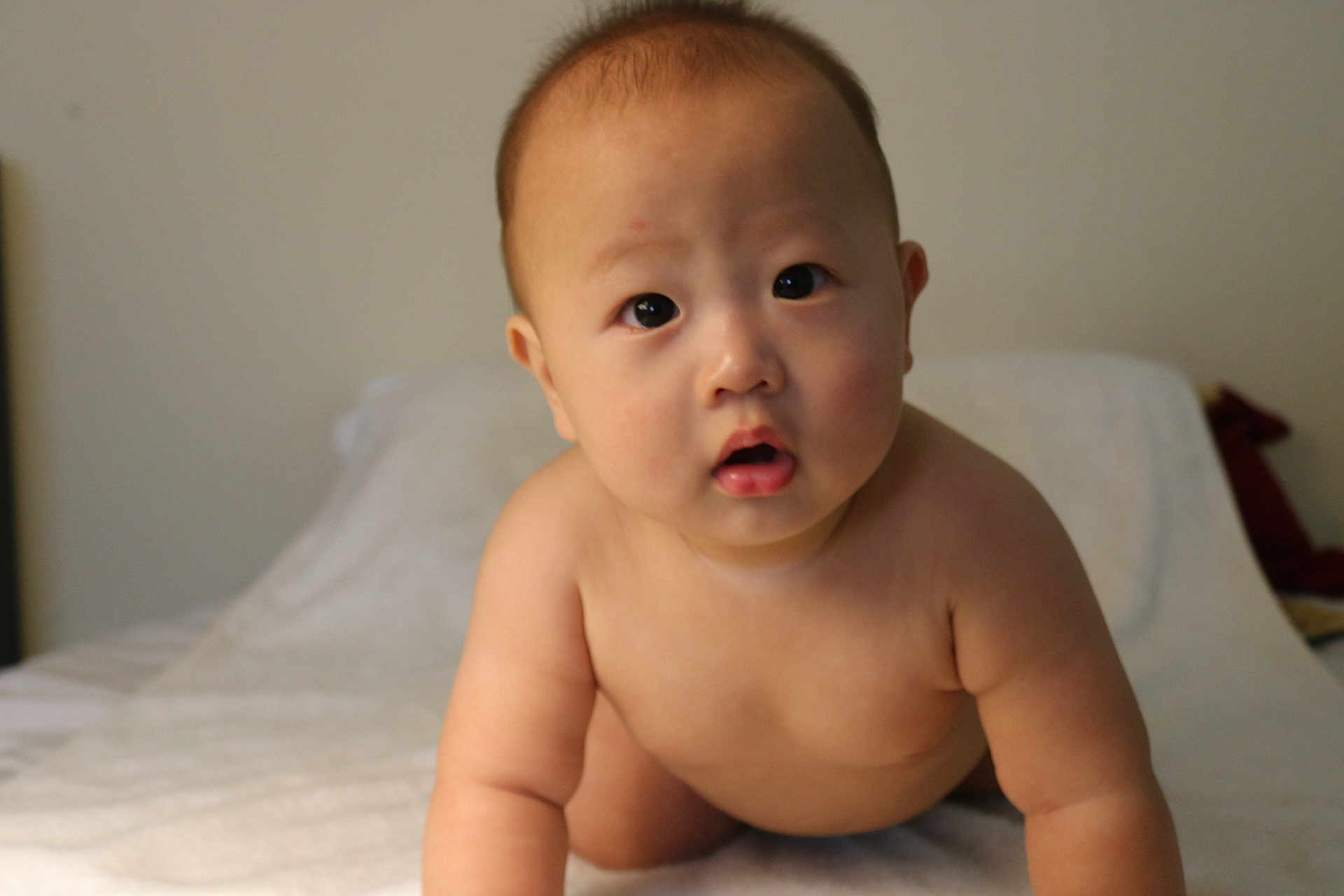 Aaron joined the competition — help win amazing prizes! baby, infant, child, crawling, skin, face, eyes, mouth, arms, torso, blanket, indoors, soft, curious, young, cute, human, portrait, expression, neutral_background