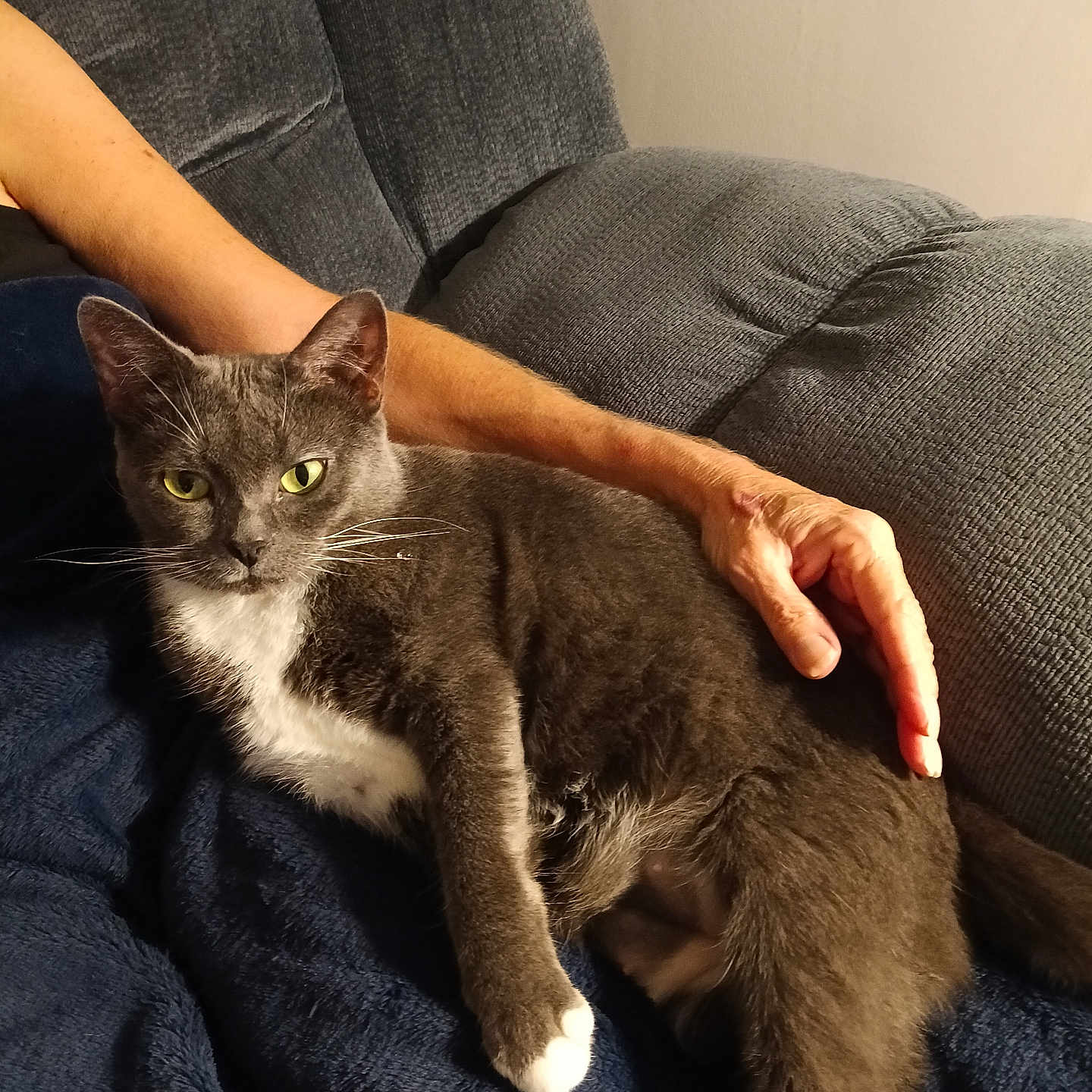 Chloe