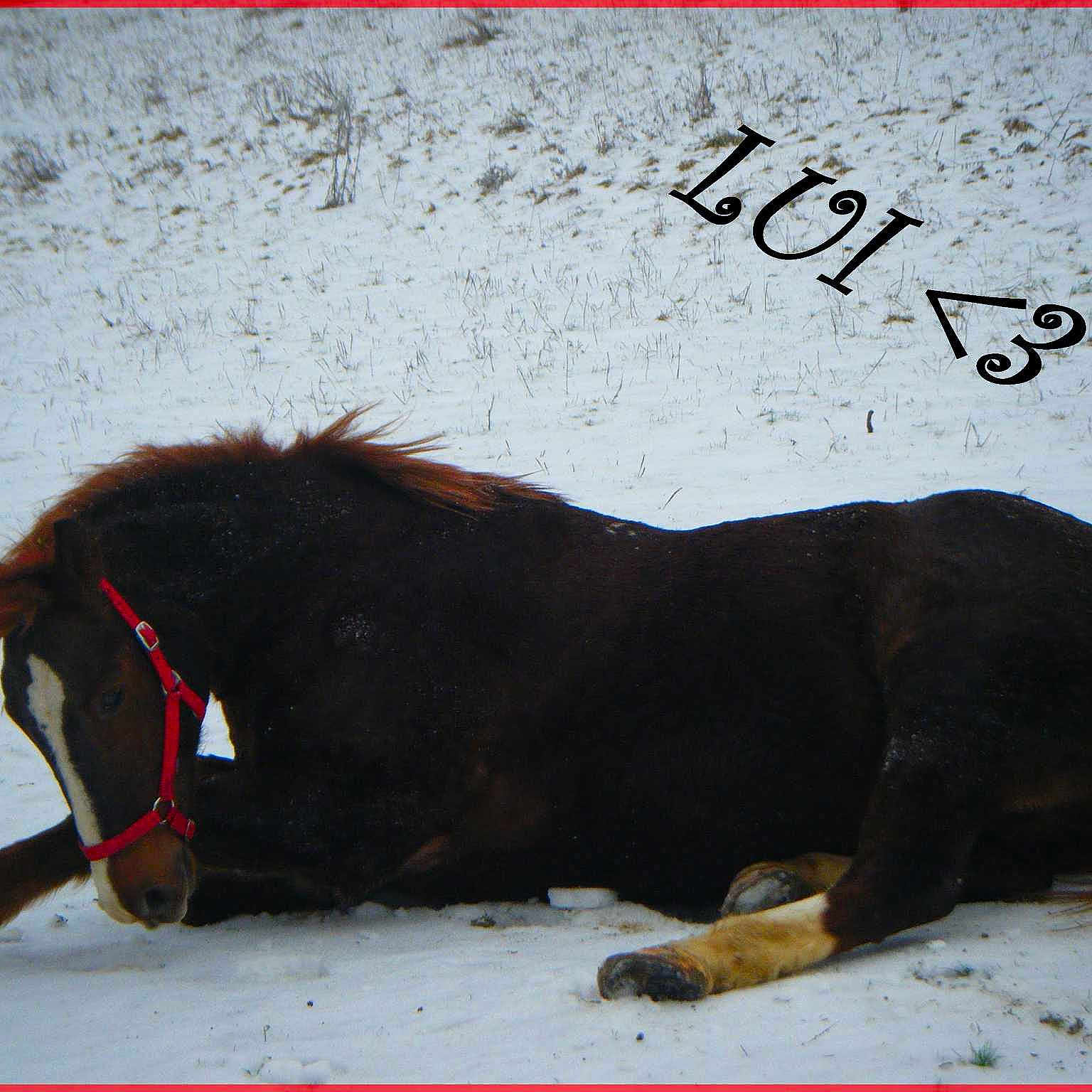 Voyou a rejoint le concours — aidez-le/la à gagner de superbes lots !