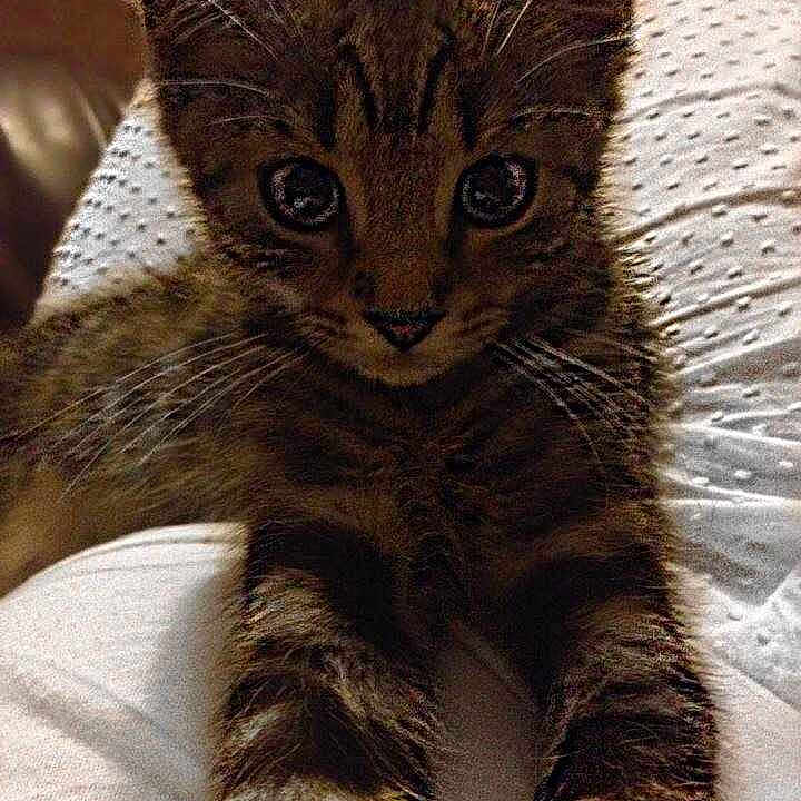 Millie is registered to the contest to win money with this photo: