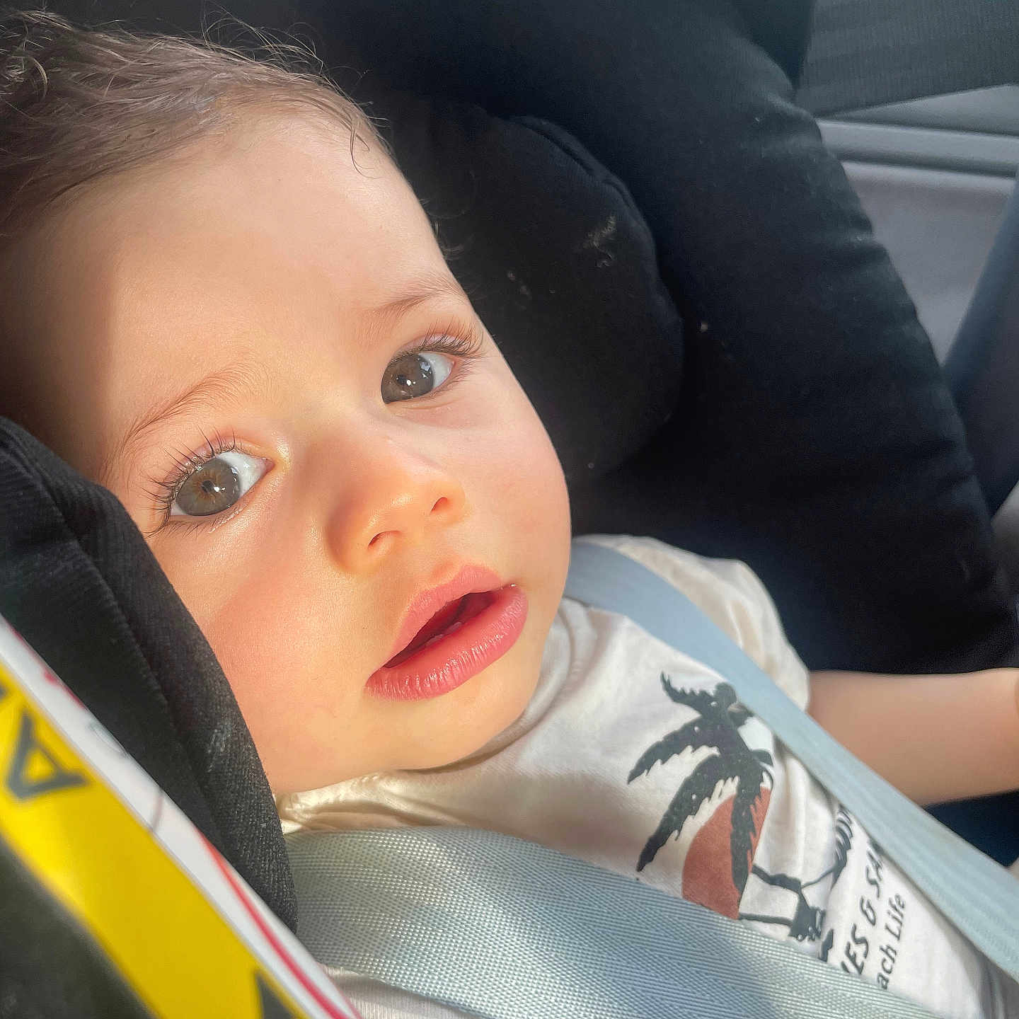 Izaia a rejoint le concours — aidez-le/la à gagner de superbes lots ! baby, car_seat, casual_clothing, child, close_up, curious, daylight, expression, eyes, face, indoor, portrait, protection, safety, seat, seatbelt, sunlight, toddler, vehicle, young_child
