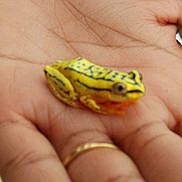 Eric Darmigny a rejoint le concours — aidez-le/la à gagner de superbes lots !