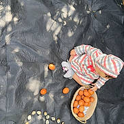 Louiza Chia a rejoint le concours — aidez-le/la à gagner de superbes lots ! toddler, child, basket, eggs, quail_eggs, brown_eggs, black_tarp, striped_clothing, hooded_outfit, sitting, outdoor, sunlight, shadows, nature, playful, spiral, baby, pacifier, hands, grass