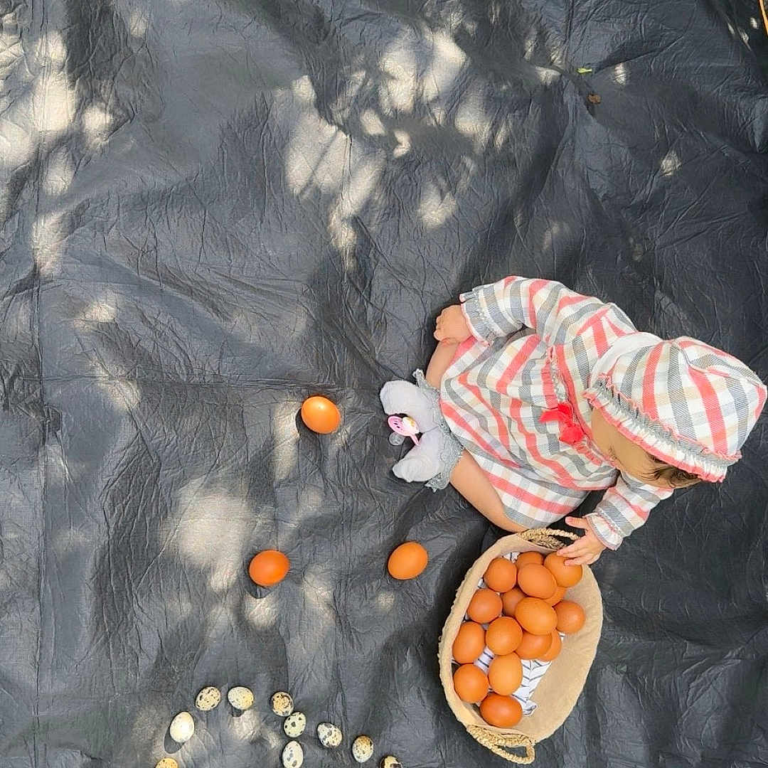 Louiza Chia a rejoint le concours — aidez-le/la à gagner de superbes lots ! baby, basket, black_tarp, brown_eggs, child, eggs, grass, hands, hooded_outfit, nature, outdoor, pacifier, playful, quail_eggs, shadows, sitting, spiral, striped_clothing, sunlight, toddler