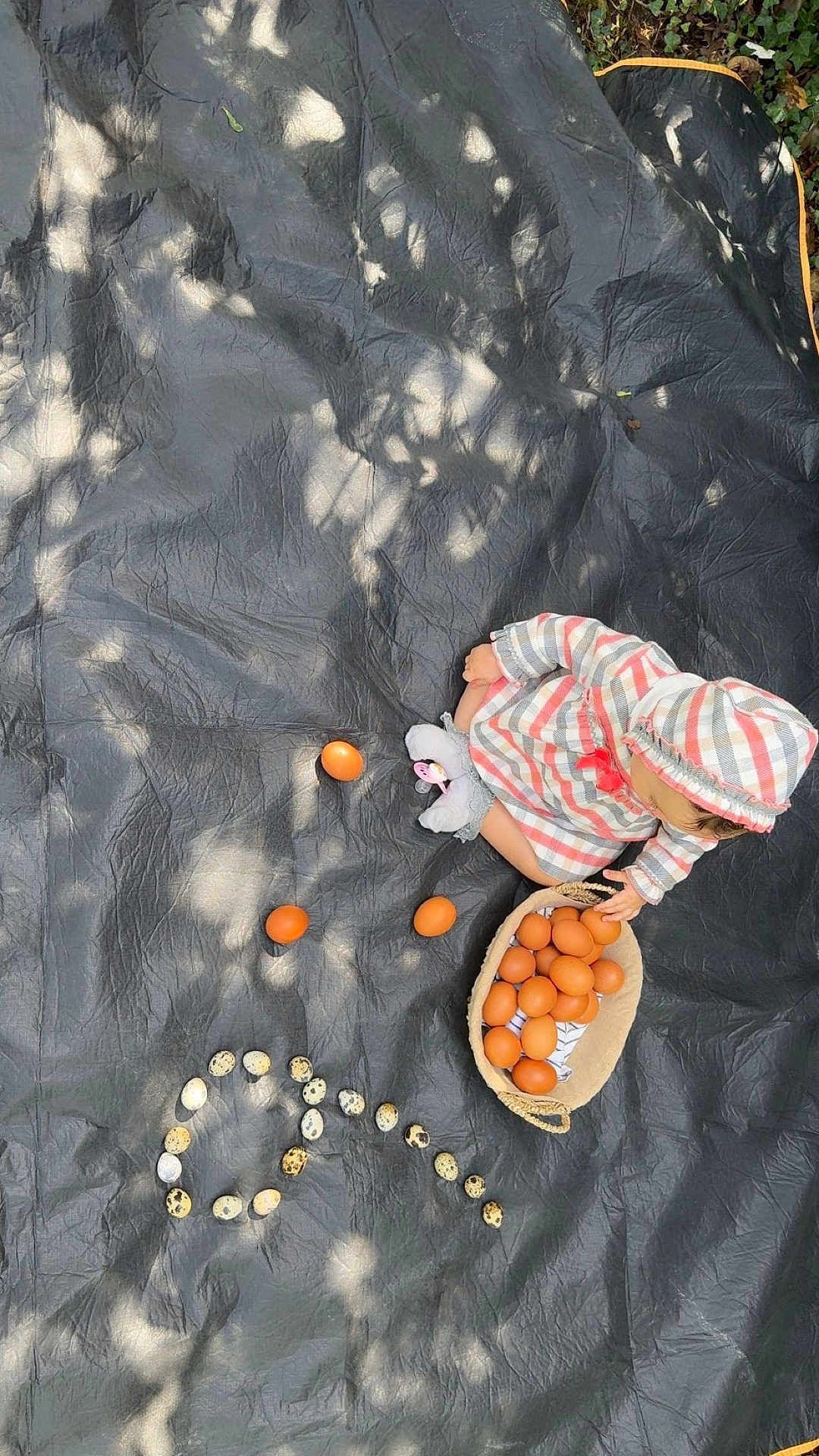 Louiza Chia a rejoint le concours — aidez-le/la à gagner de superbes lots ! toddler, child, basket, eggs, quail_eggs, brown_eggs, black_tarp, striped_clothing, hooded_outfit, sitting, outdoor, sunlight, shadows, nature, playful, spiral, baby, pacifier, hands, grass