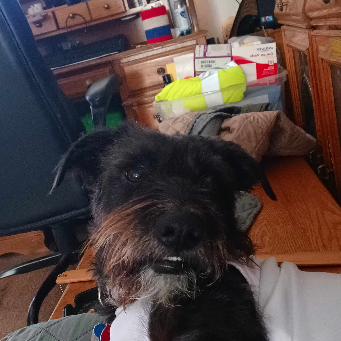 Ziggie