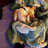Runtz is registered to the contest to win money with this photo: dog, sleeping, blanket, crocheted_blanket, green, white, cozy, indoor, pet, resting, small_dog, collar, remote_control, bed, soft_lighting, relaxation, cute, animal, wrapped, nap