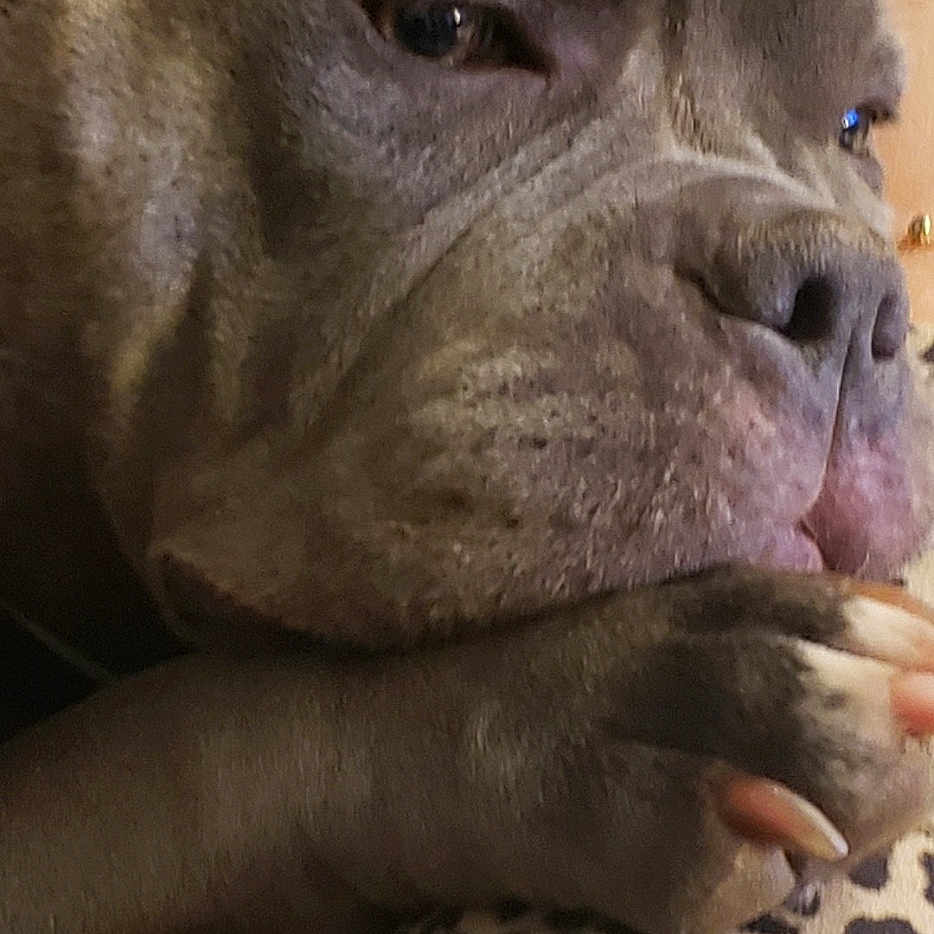 Bébé Joy