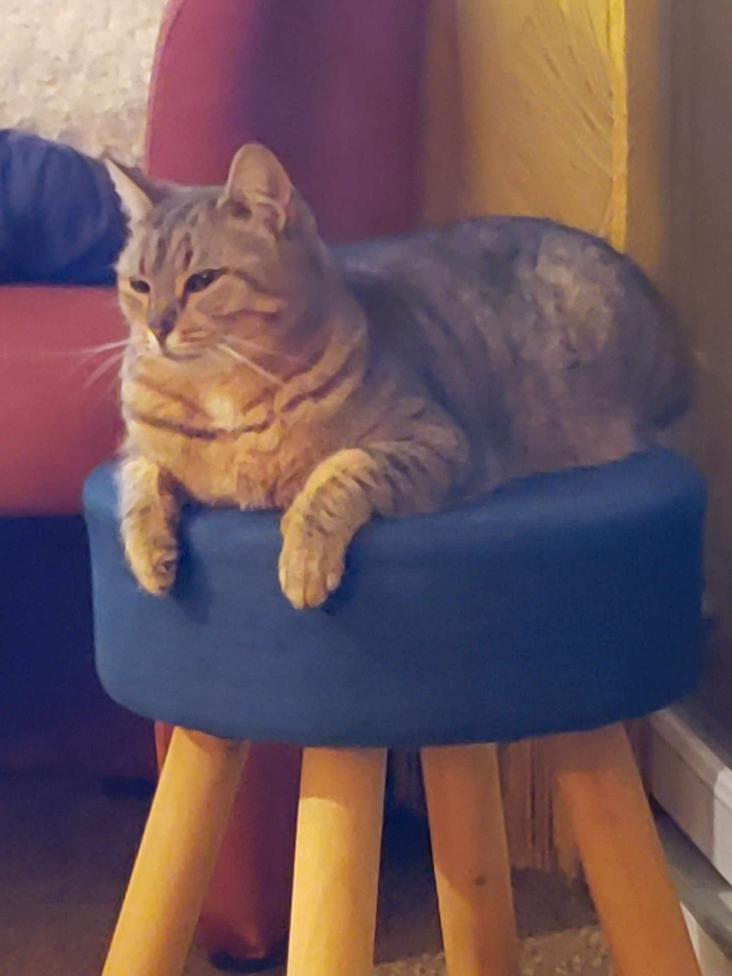 Louna