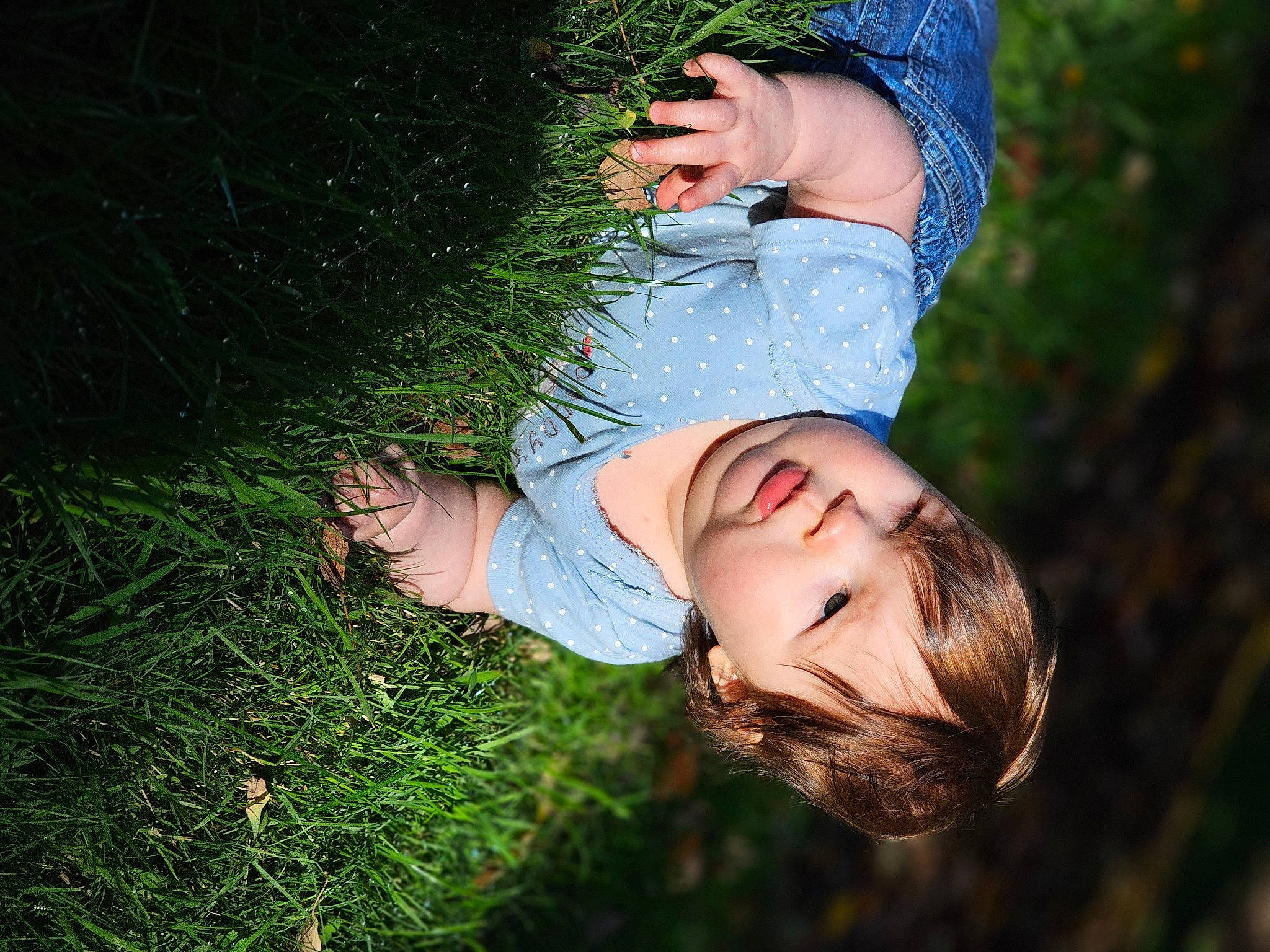Scarlett joined the competition — help win amazing prizes! blond, child, flash_photography, fun, gesture, grass, grass_family, grassland, happy, leisure, lip, meadow, people_in_nature, person, plant, portrait_photography, prairie, sitting, smile, toddler