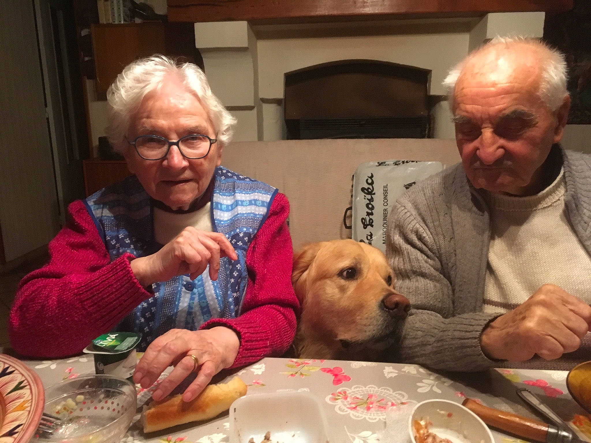 Heaven a rejoint le concours — aidez-le/la à gagner de superbes lots ! bowl, carnivore, chair, companion_dog, cuisine, cup, dish, dishware, dog, event, food, glasses, kitchen_utensil, lap, people, plate, serveware, sharing, table, tableware