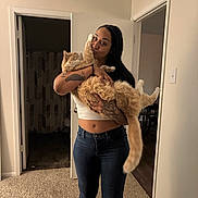 Jupiter is registered to the contest to win money with this photo: bed, carpet, casual, cat, curtain, doorway, furniture, holding, home, human, indoor, jeans, long_hair, orange_cat, paw, pet, playful, tattoo, white_top, woman
