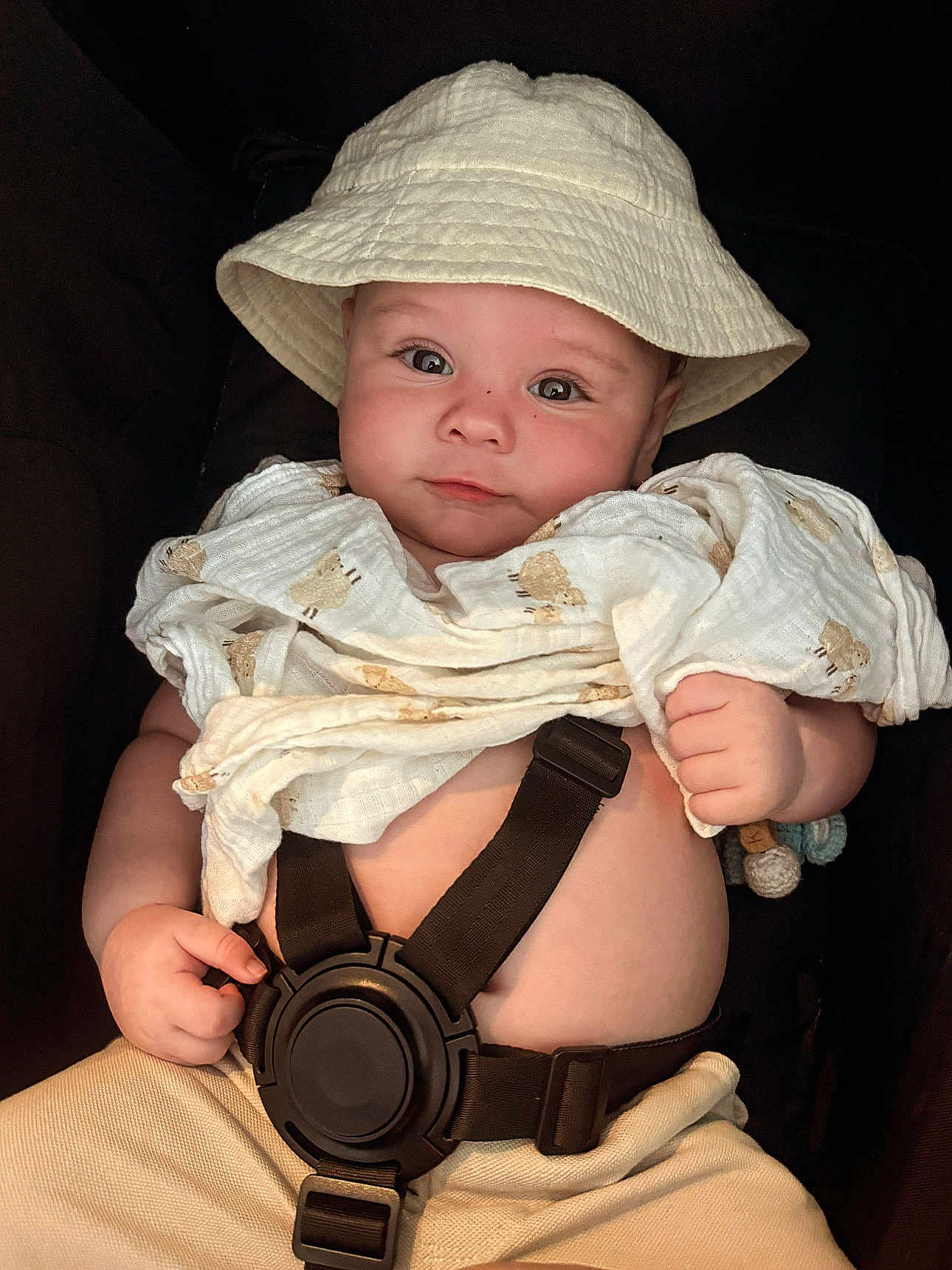 Kayson is registered to the contest to win money with this photo: baby, infant, hat, blanket, car_seat, straps, face, skin, hand, clothing, cute, child, portrait, seatbelt, fabric, expression, headwear, comfort, sitting, indoors