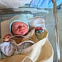 newborn, baby, hospital, bassinet, blanket, cap, sleeping, infant, medical_band, sensor, wrapped, soft, resting, peaceful, cute, person, child, indoors, healthcare, tubular_frame