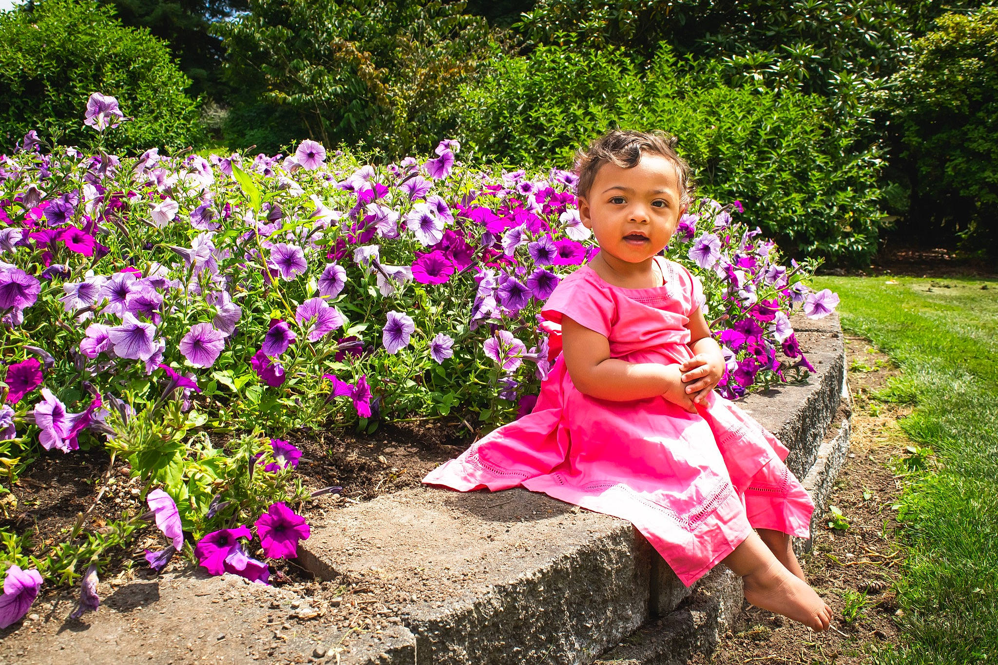 Freedom joined the competition — help win amazing prizes! annual_plant, botanical_garden, botany, child, flower, flowering_plant, garden, grass, groundcover, herbaceous_plant, person, petal, pink, plant, shrub, spring, summer, toddler, tree, vacation