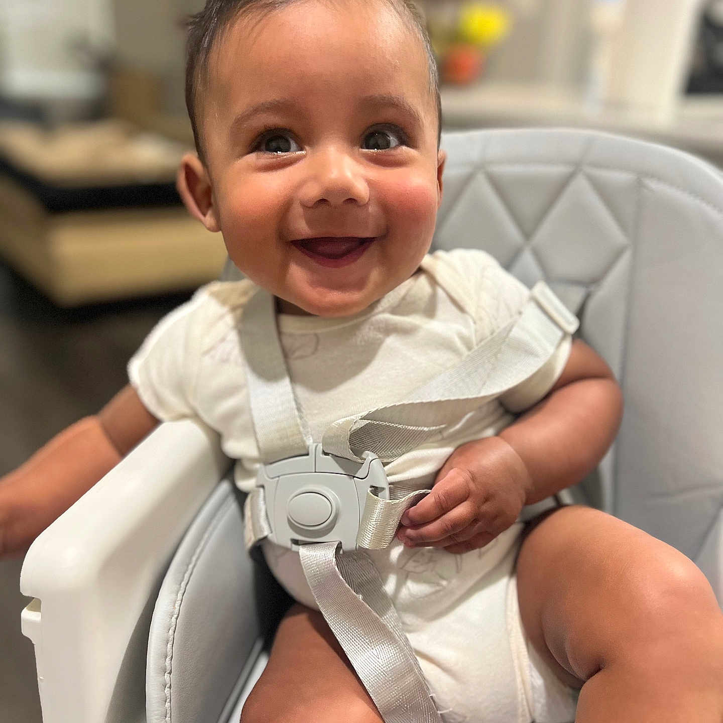 Apolo joined the competition — help win amazing prizes! baby, bright, child, clothing, cute, face, furniture, hand, happy, high_chair, home, indoor, infant, leg, person, seat, sitting, skin, smiling, straps