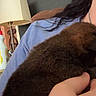 Riggs joined the competition — help win amazing prizes! puppy, dog, person, hand, blue_shirt, lamp, indoor, fur, holding, cuddle, brown, closeup, home, furniture, light, background, comfort, pet, warm, casual