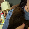 Riggs is registered to the contest to win money with this photo: puppy, dog, person, hand, blue_shirt, indoor, lamp, furniture, brown_fur, holding, close_up, home, cozy, pet, young_dog, shoulder, human, casual, domestic, comfort