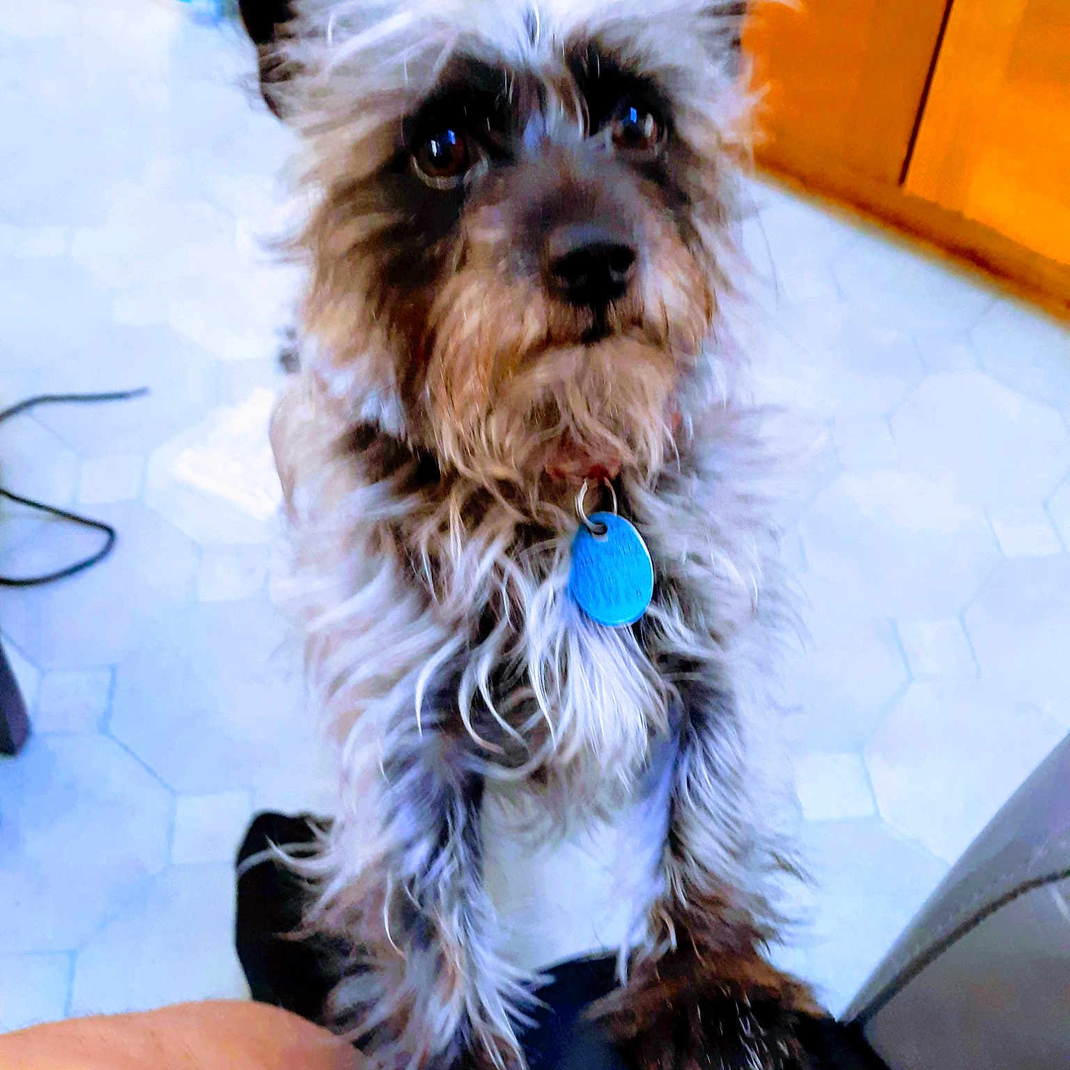 Romeo