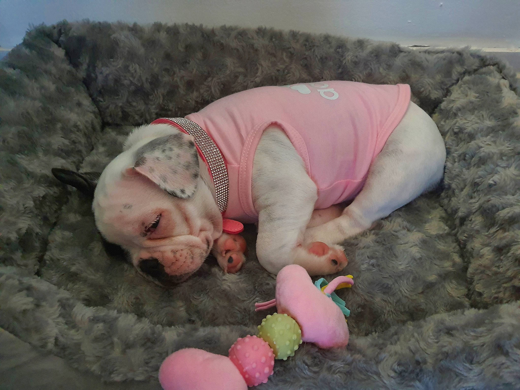 Shana a rejoint le concours — aidez-le/la à gagner de superbes lots ! baby, baby_products, baby_toddler_clothing, barefoot, bedtime, child, comfort, crawling, foot, fun, grass, linens, nap, people_in_nature, pink, sand, sitting, skin, sleeve, toddler