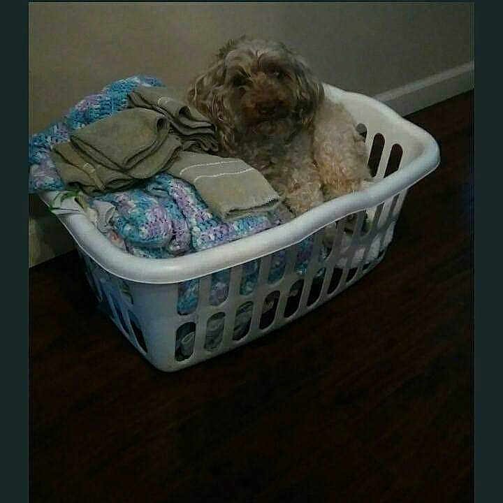 Coco