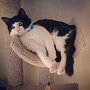 Parker Jones joined the competition — help win amazing prizes!