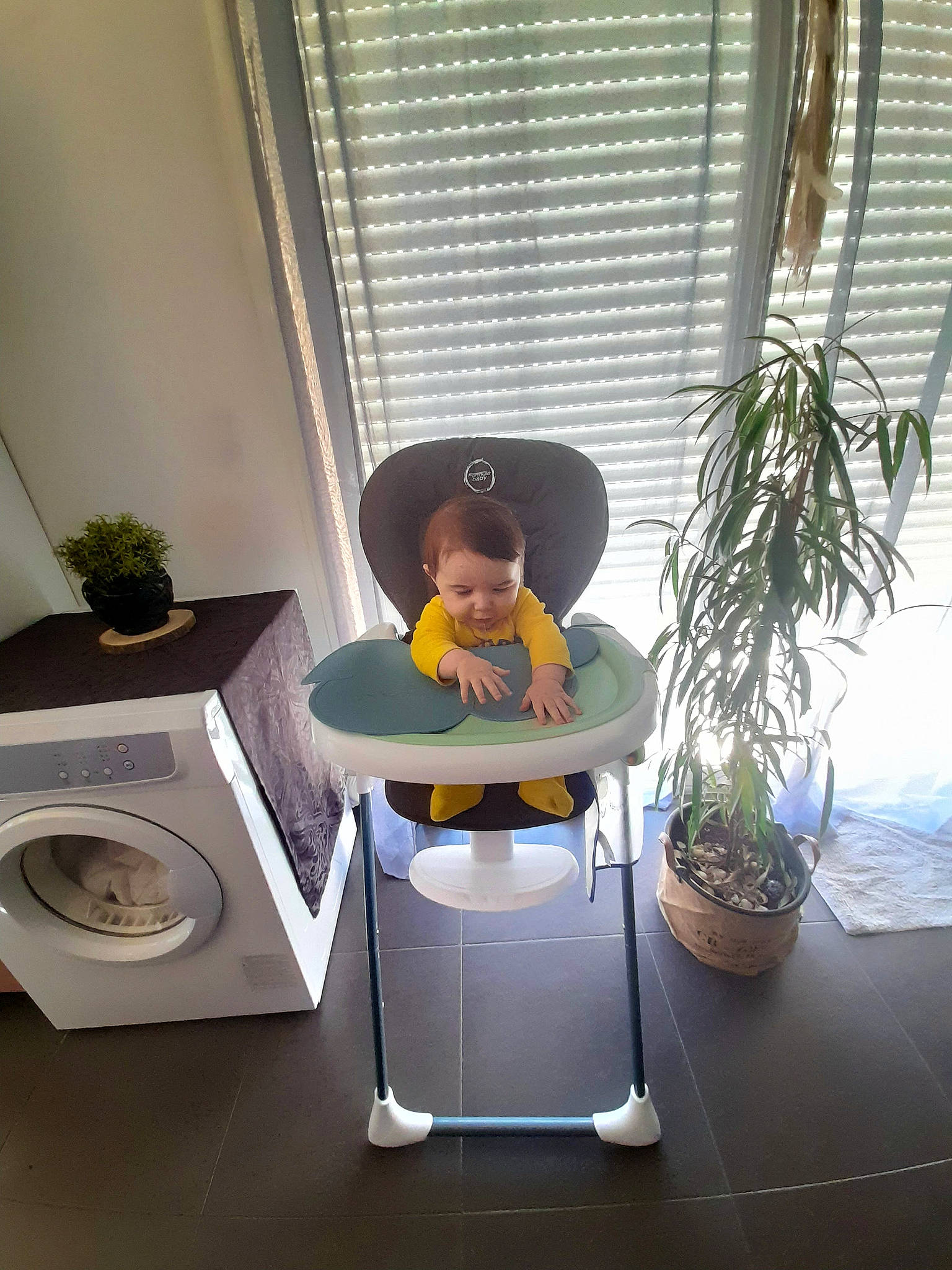 Gabriel participe au concours pour gagner de l'argent avec cette photo : audio_equipment, clothes_dryer, floor, flooring, flowerpot, hat, home_appliance, houseplant, interior_design, machine, person, plant, purple, room, sitting, t_shirt, terrestrial_plant, toddler, washing_machine, window